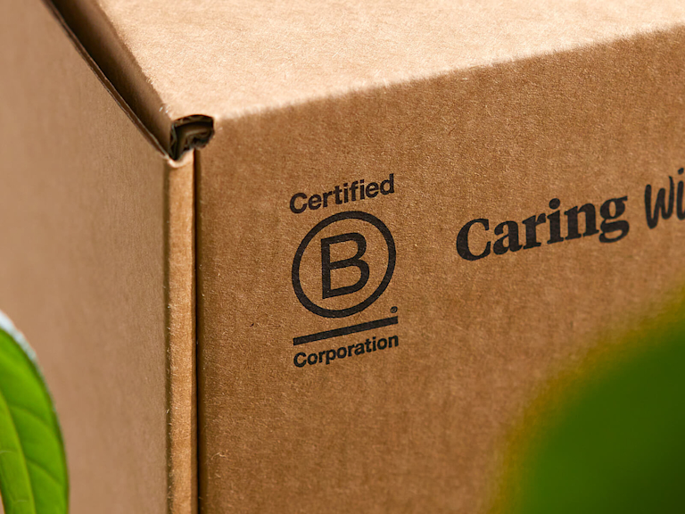 A recycled Bloom & Wild packaging box, showing the 'Certified B Corporation' logo'.