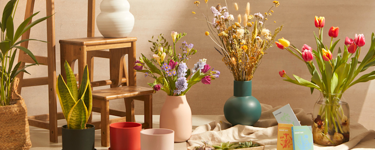 A mix of fresh and dried blooms, plants, plant pots and seed packets are sat next to each other in a neutral coloured room. One of the flower vases has been placed on a wooden step stool.