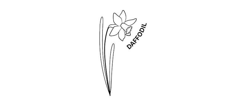 march birth month flower the daffodil