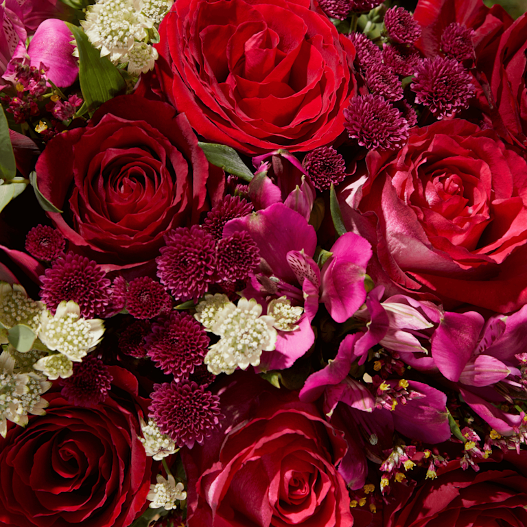 close up of bloom & wild Liberty blooms