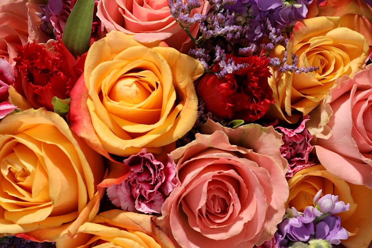 zoomed in peach & orange roses