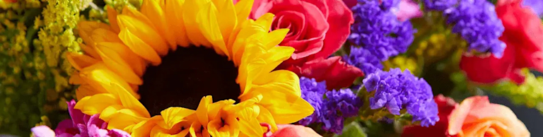 zoomed in image of sunflowers