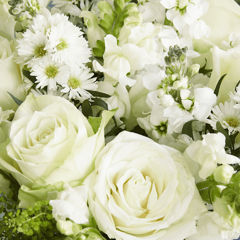 white roses and waxflowers