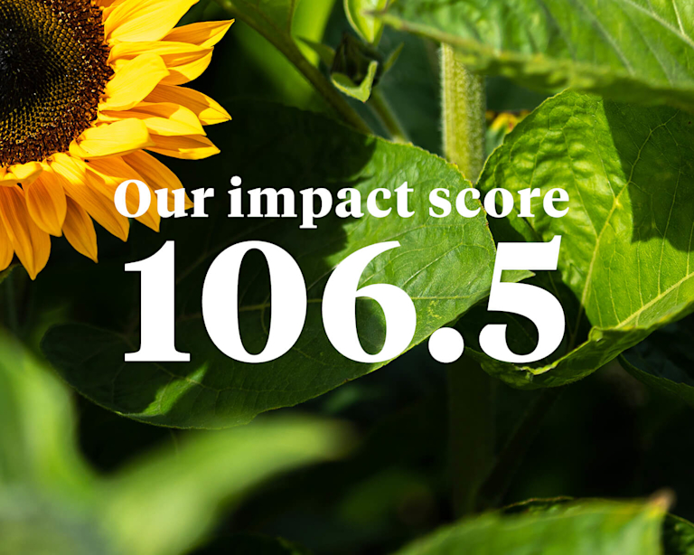 The words 'Our impact score: 106.5' over the top of a close-up of a golden sunflower and green leaves.