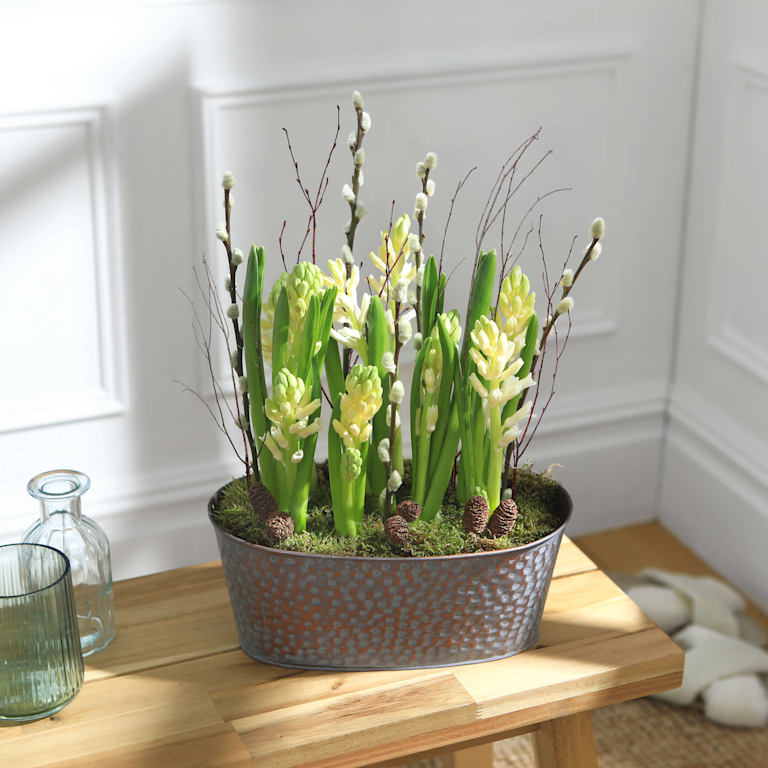 A trough filled with white hyacinths and twigs