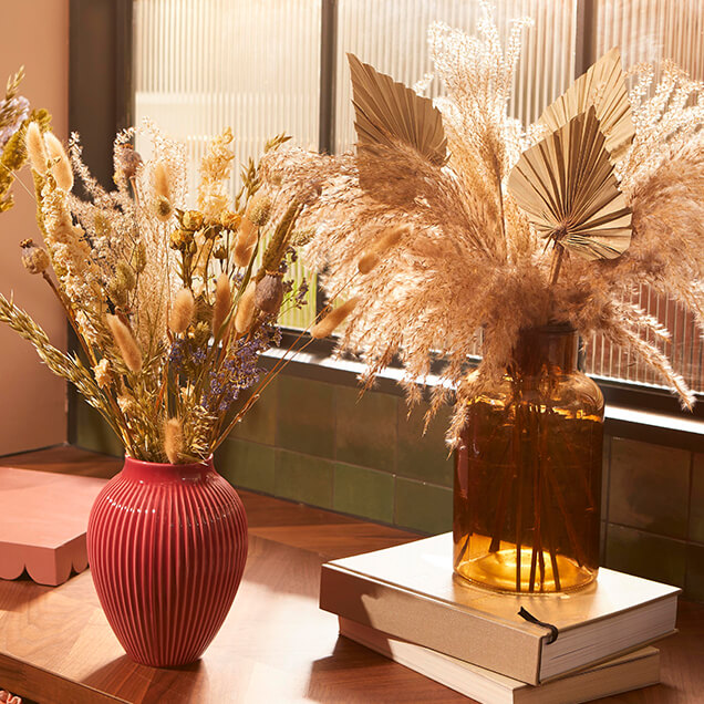 A number of plants are positioned on and around a living room wall of white shelves.