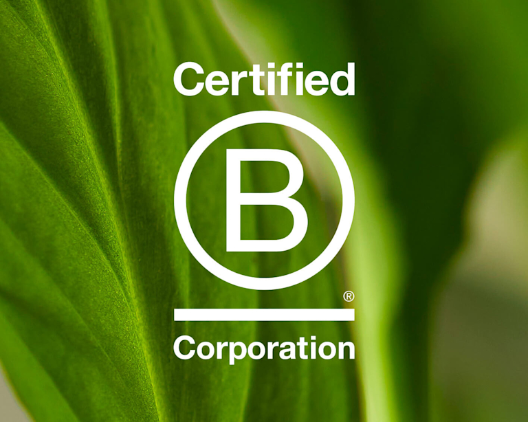 Bloom & Wild B Corporation Certified