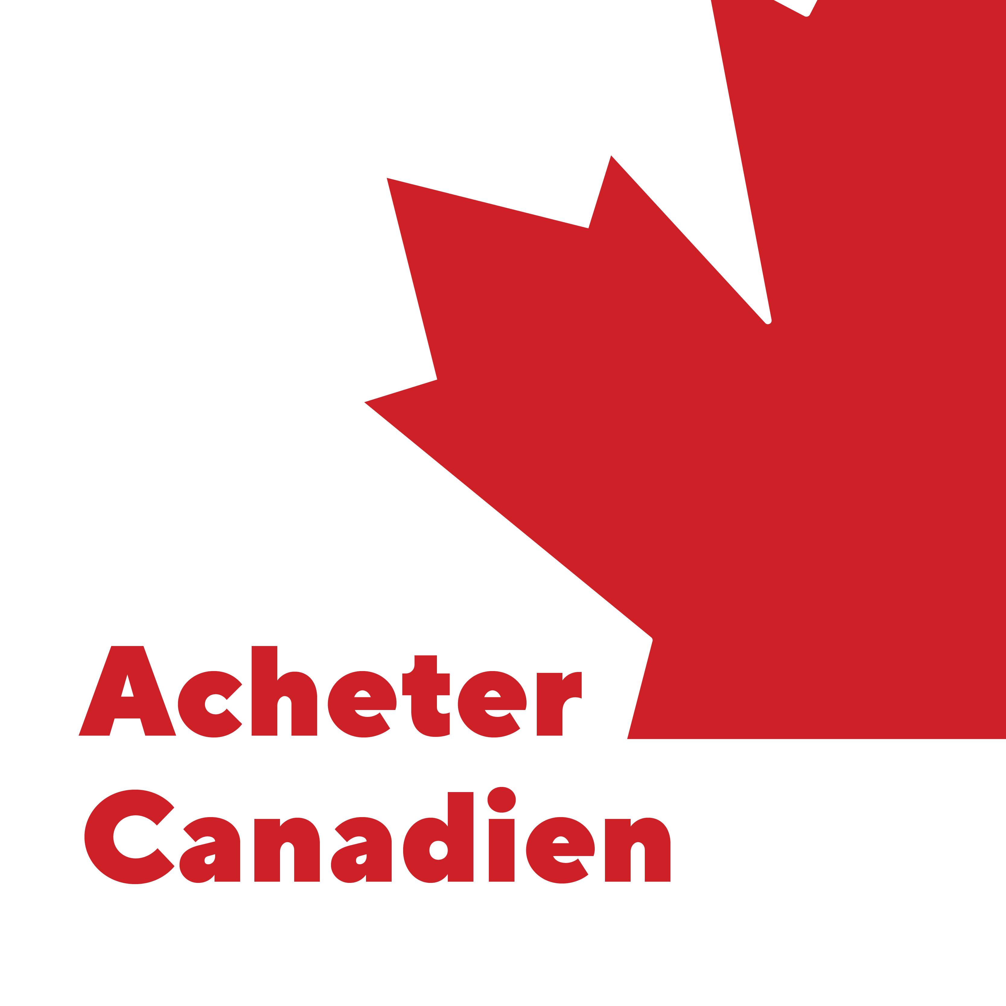 Shop Canadian - Shop Canadian Element 2 FR