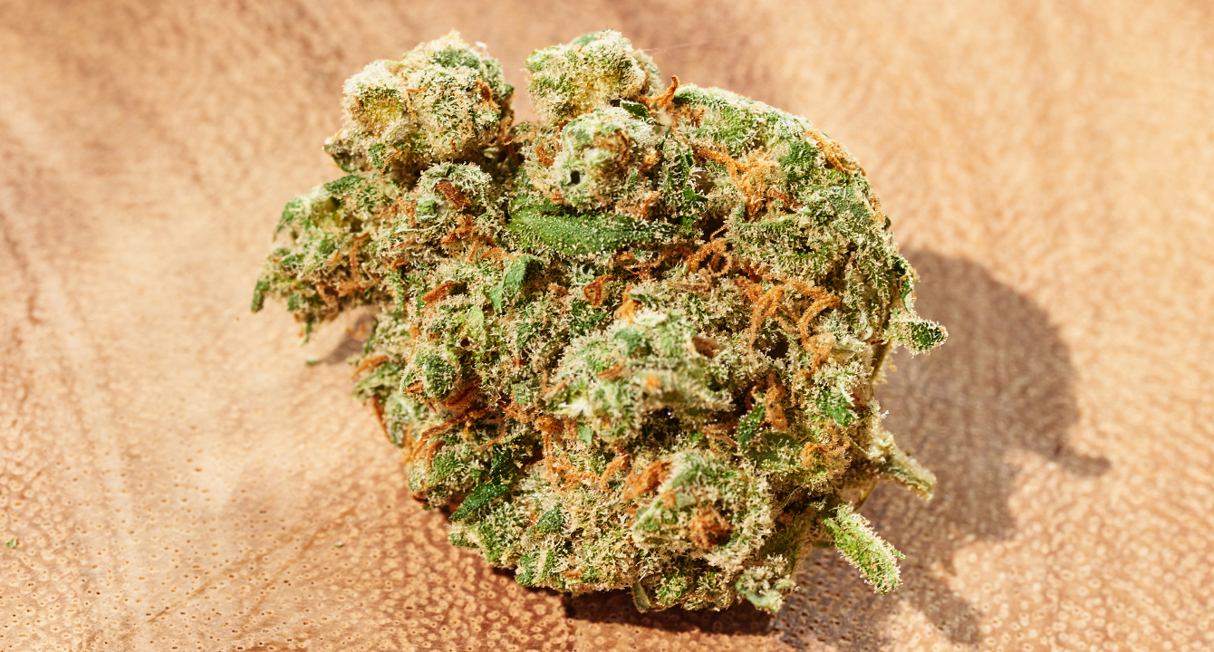 The Amazing Benefits of Sativa and Indica