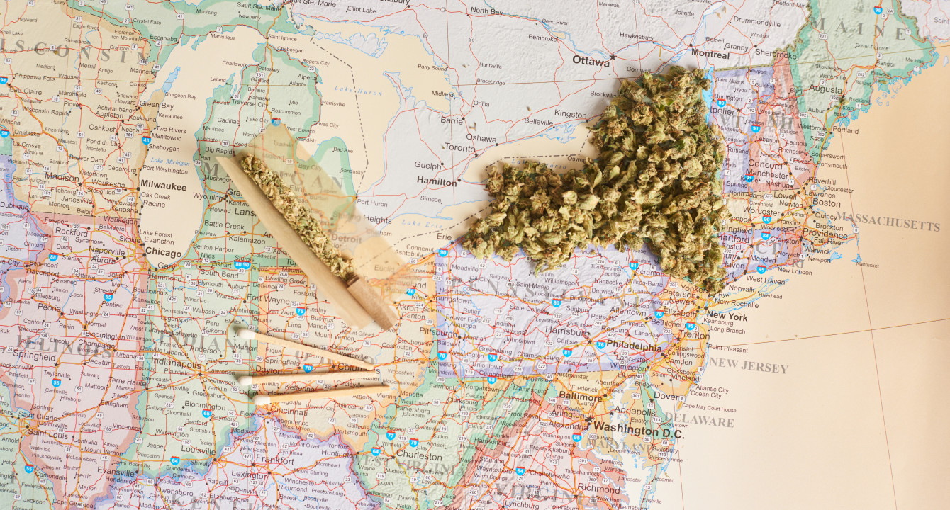 Breaking Down The Basics: New York Cannabis Laws