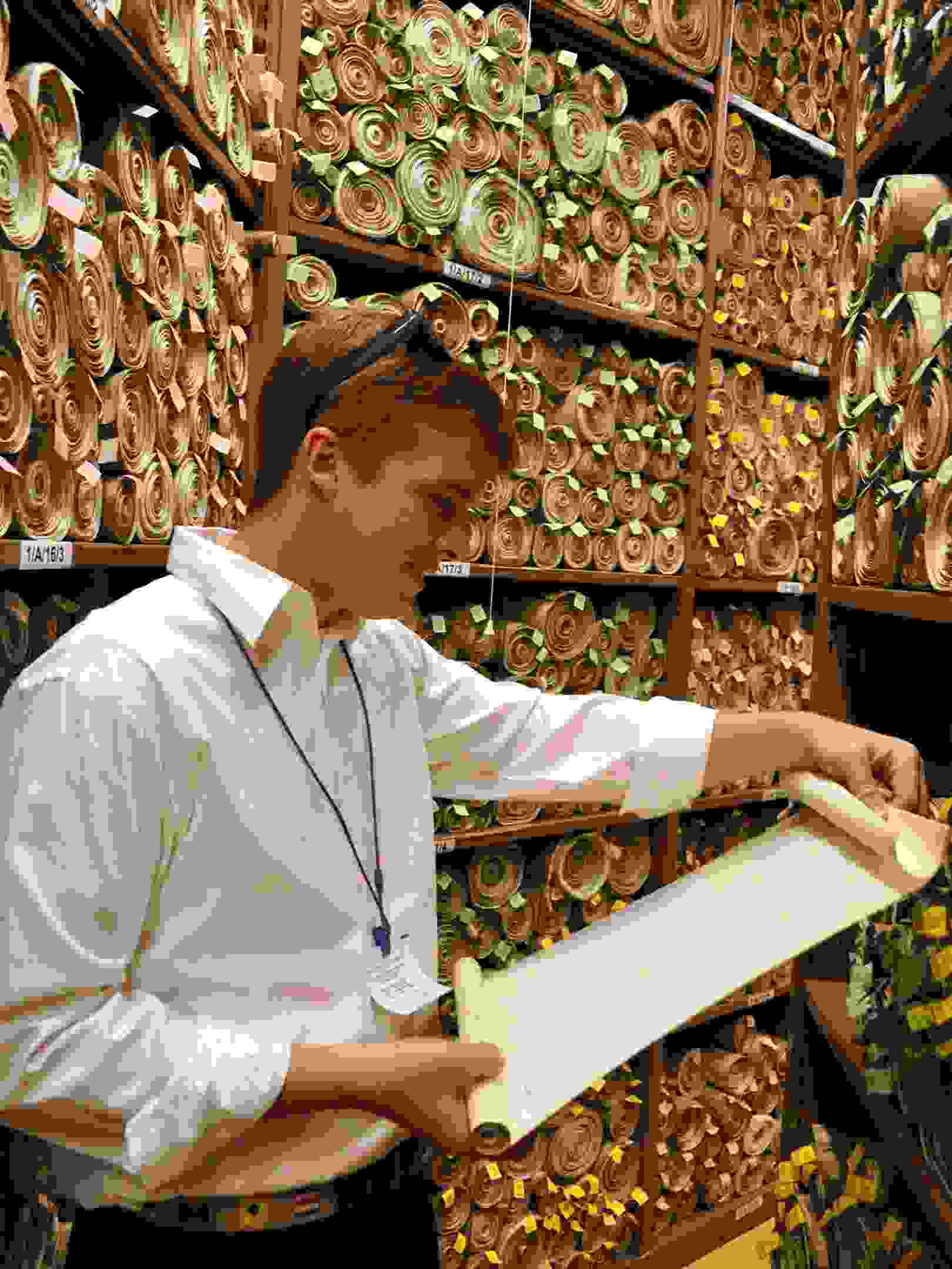 Photo of Hansard Society Scholar sifting through scrolls of historic Acts of Parliament in the Parliamentary Archives, UK Houses of Parliament