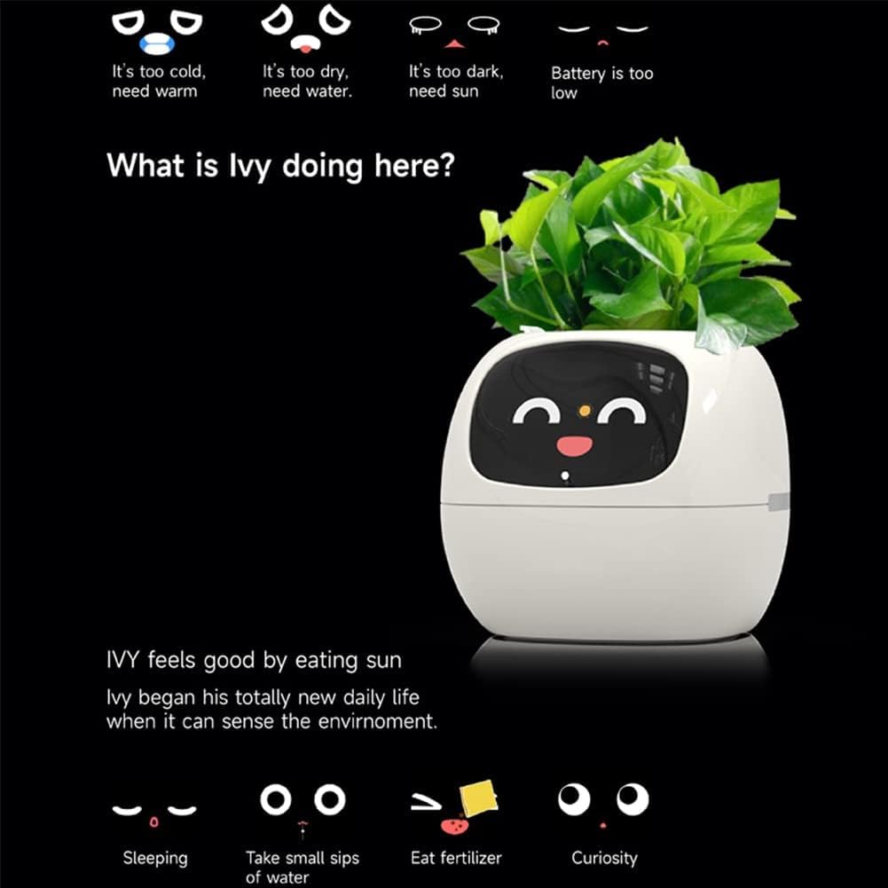 🤖Ivy: The Smart Flowerpot