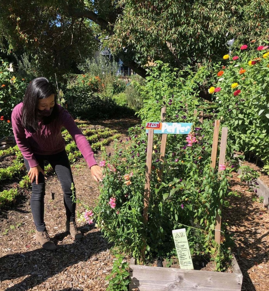 Michelle Wu visits Thornton Street urban farm and community garden.