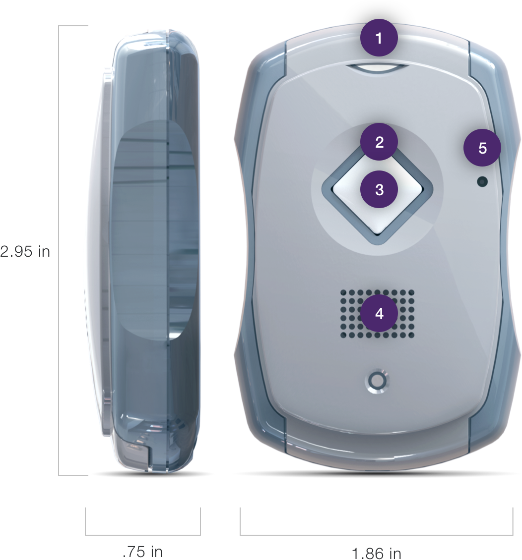 Device preview of the LivingWell Companion Go