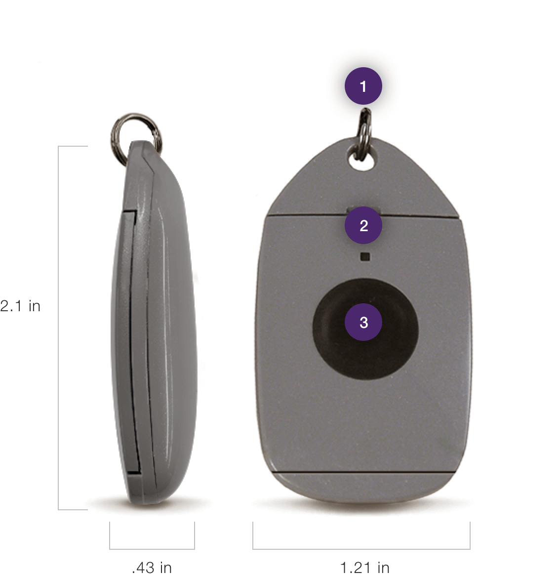 LivingWell Companion Home without fall detection
