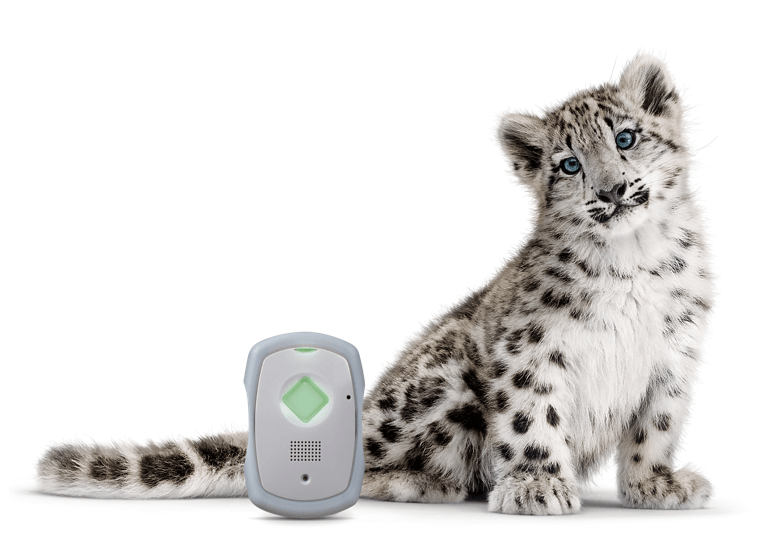 LivingWell Companion Go device next to a snow leopard critter