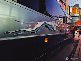 Greyhound Bus