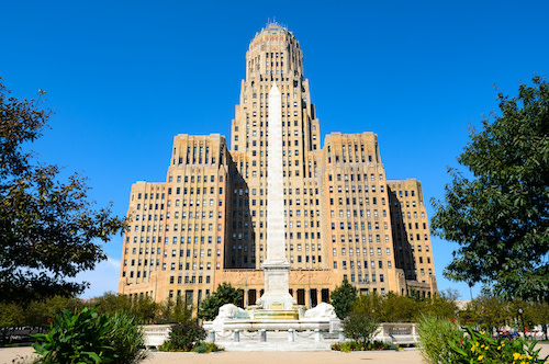 buffalo