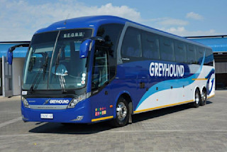 Greyhound Single-Decker