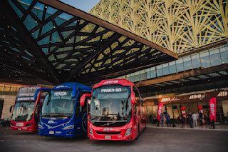 ADO buses