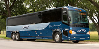 greyhound-bus