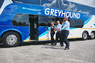 Greyhound south Africa dreamliner