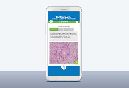 my derm path app