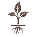 Plant roots icon