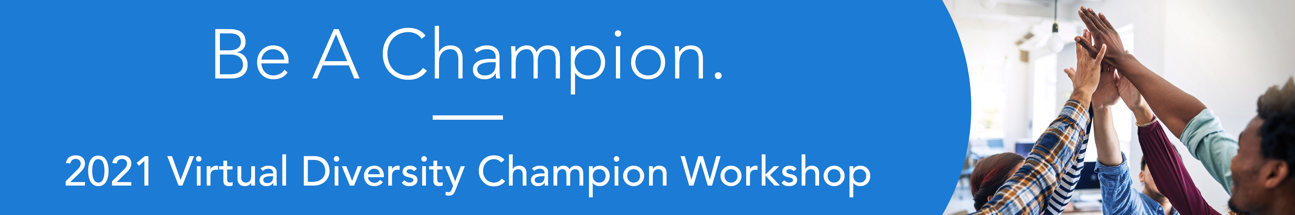 Image for Diversity Champion Workshop