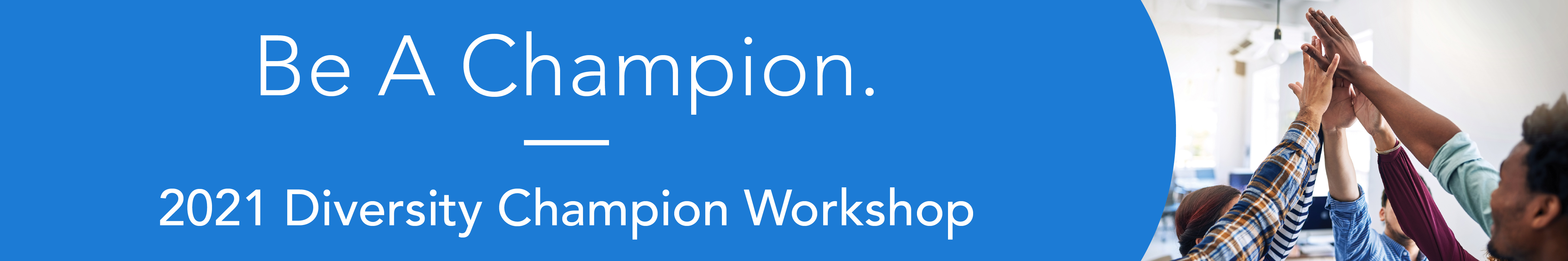 Image for Diversity Champion Workshop