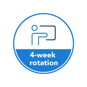 Icon depicting Basic Dermatology Curriculum 4-week rotation
