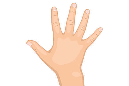 Illustration of a child's hand