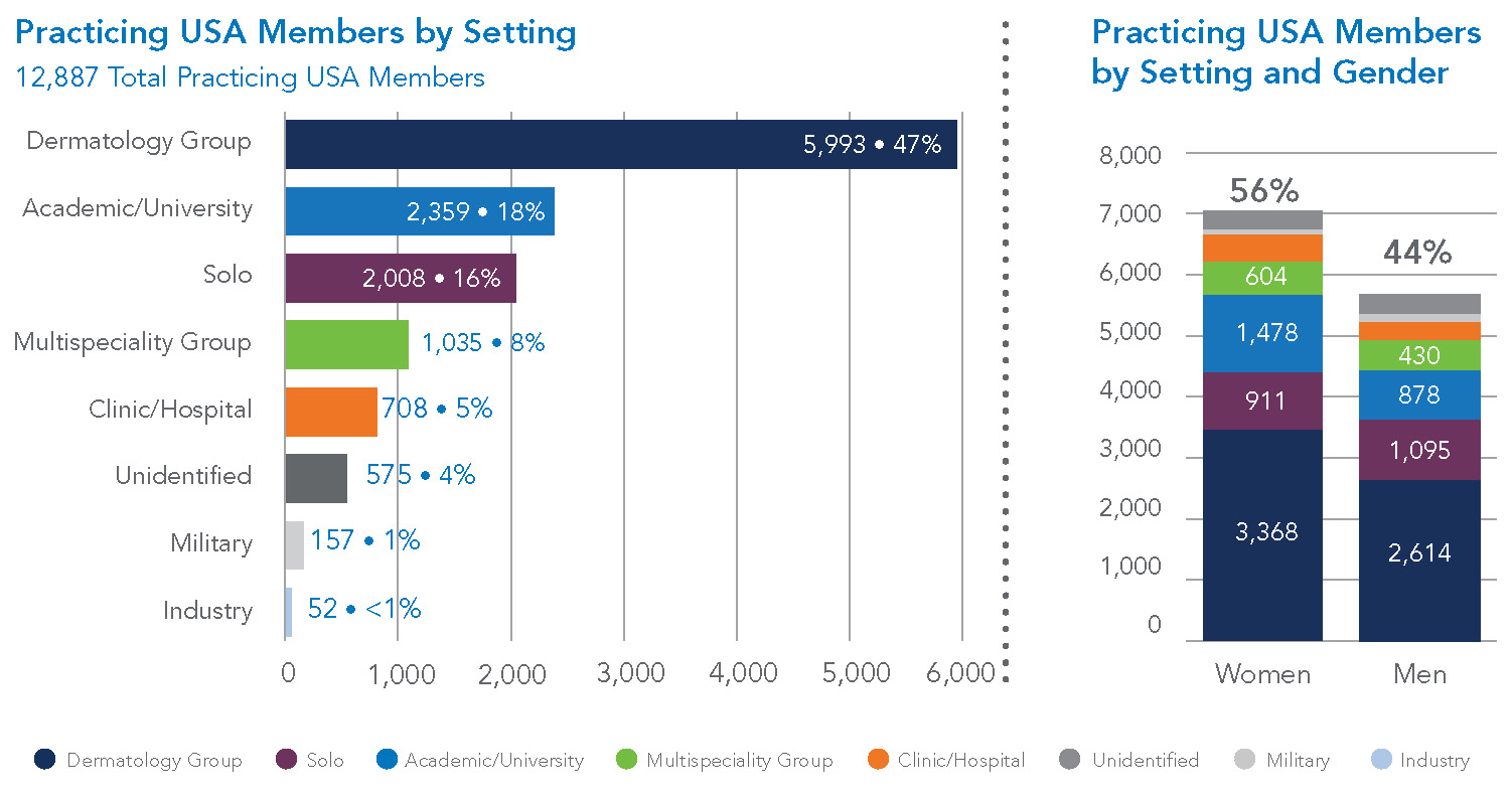 AAD members by practice setting and gender