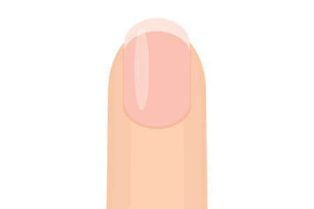 Illustration of a index finger and its nail