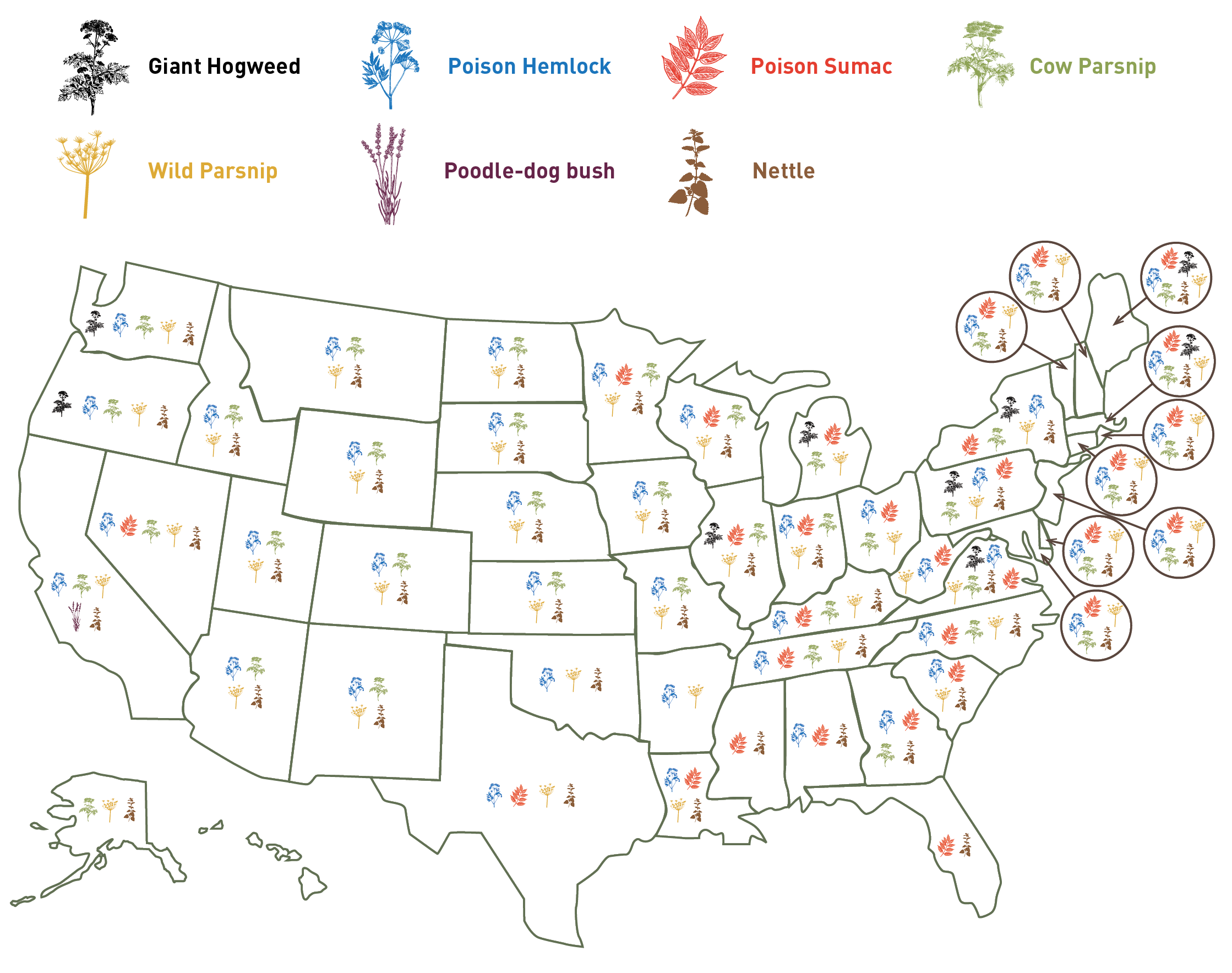 hazardous-plant-map-sidebar