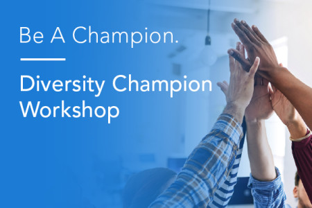 Diversity champion workshop