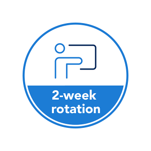 Icon depicting 2-week rotation in Basic Dermatology Curriculum 