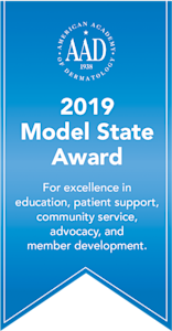 Model State Award ribbon