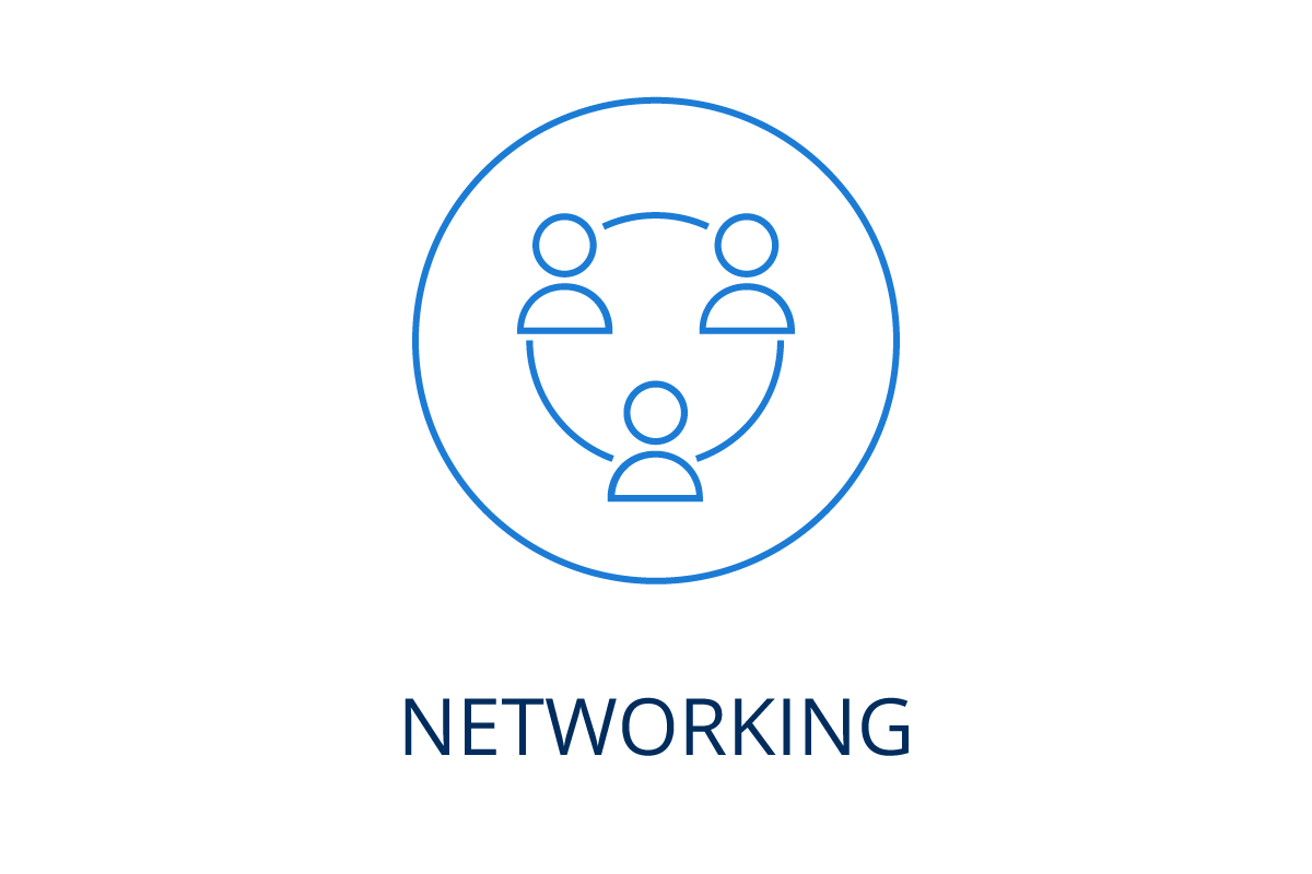 Networking icon