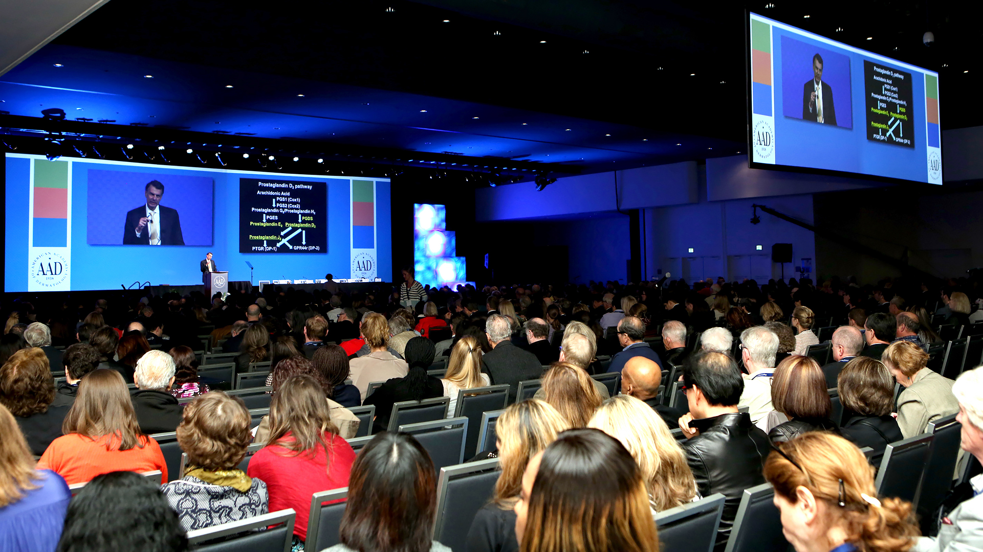 Image of a former plenary session at Annual Meeting