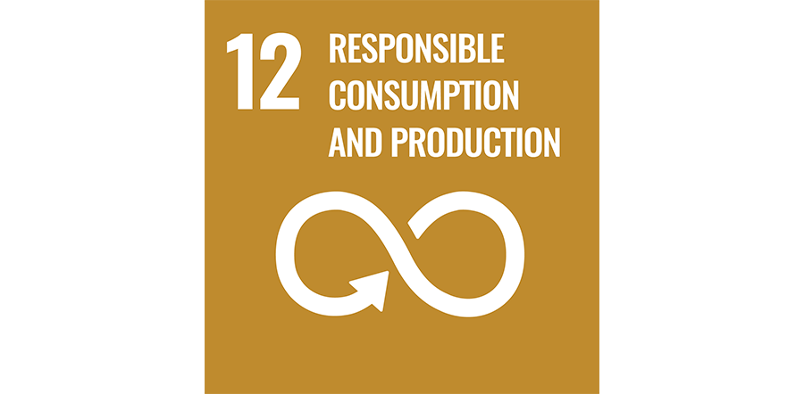 SDG icon 12