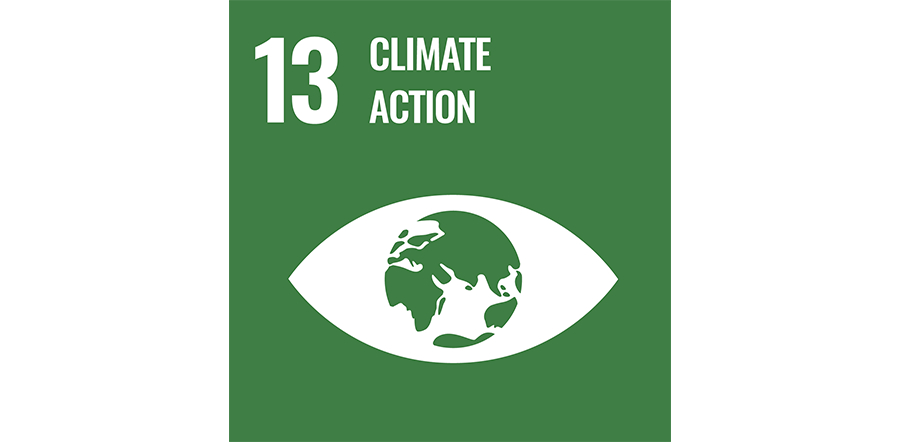 SDG icon 13