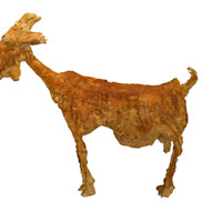 Ziege, 2020, Kunstgips, 65x80 cm Ziege, 2020, Kunstgips, 65x80 cm