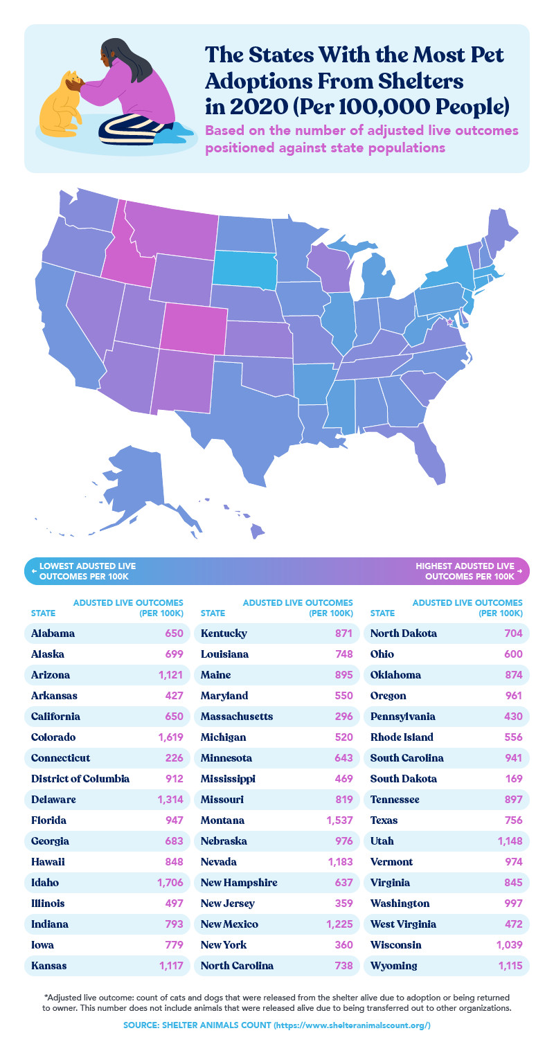 honestpaws-petadoptionrates-graphic-v1 4