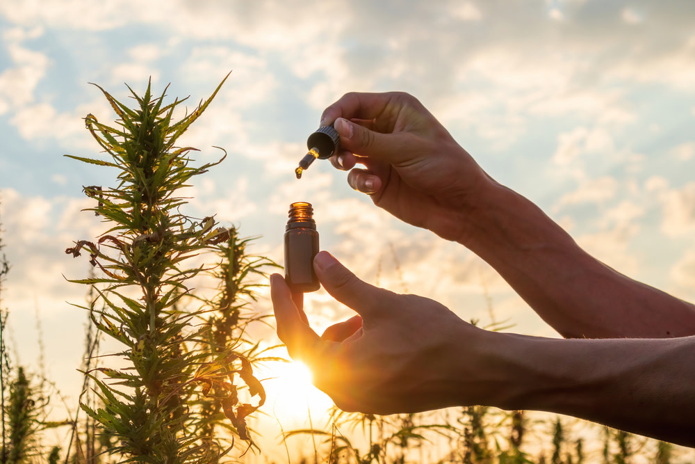 CBD Tincture