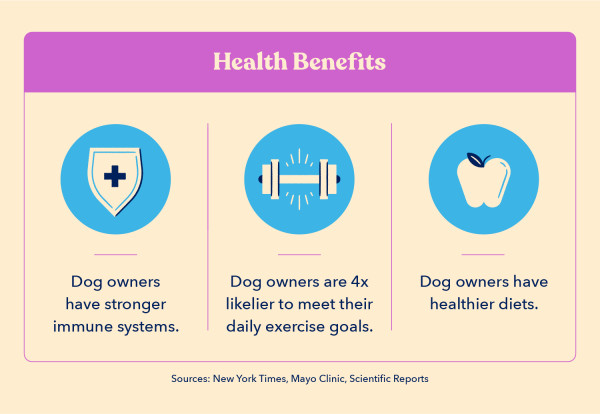 three icons indicate health benefits of having a dog, including that dog owners have strong immune systems, are more likely to meet daily exercise goals, and that they have healthier diets