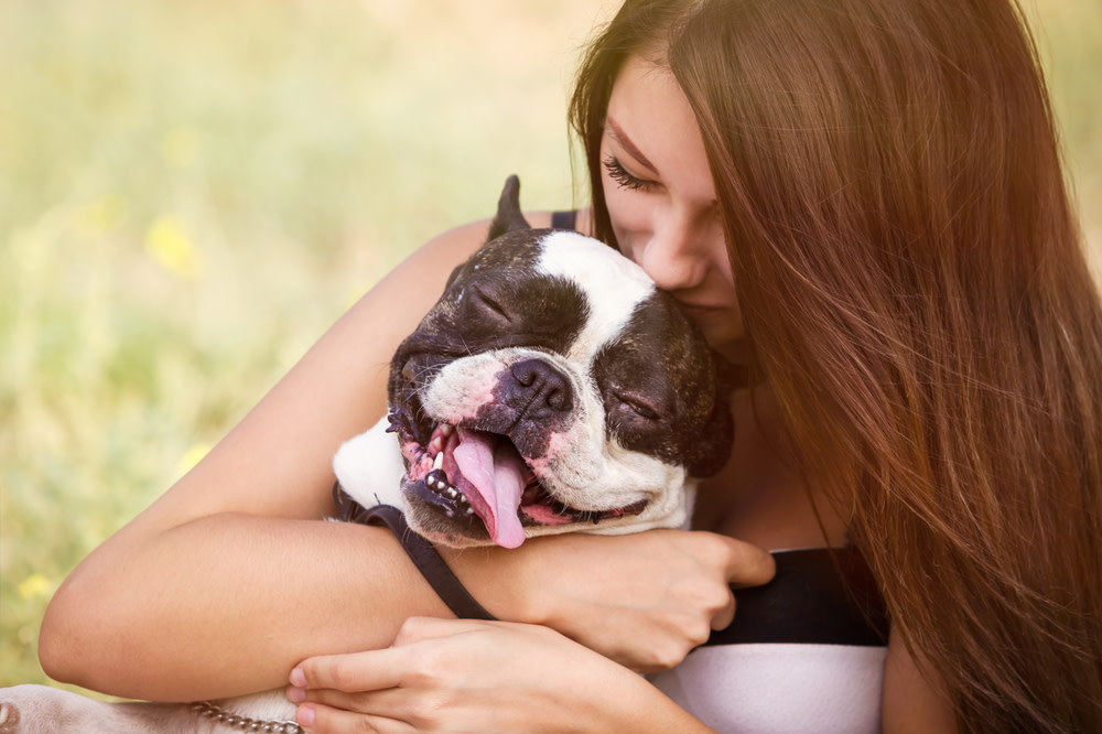 Young dog owner girl plays with french bulldog puppy