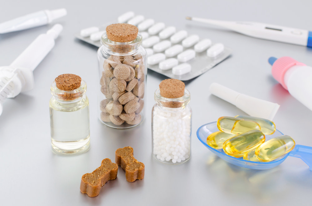 Mobility supplements for dogs