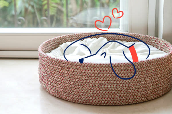 an illustrated dog with autism sleeps in a woven, circular dog bed and hearts are floating above their head, indicating they feel safe