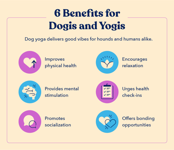 a list of six benefits of incorporating a dog in a yoga practice and also helping a dog do yoga poses, including improved mental stimulation and bonding